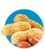 Seeds & Snacks