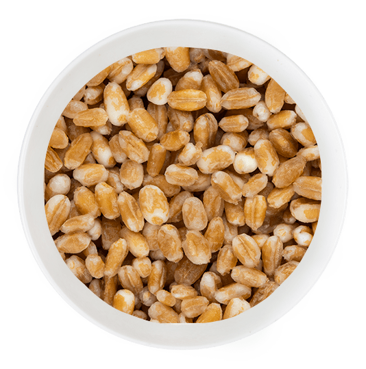 Wheat