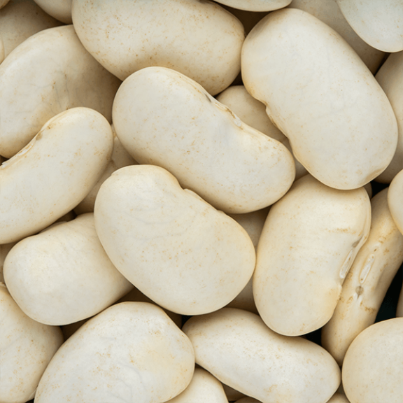 Kidney Beans
