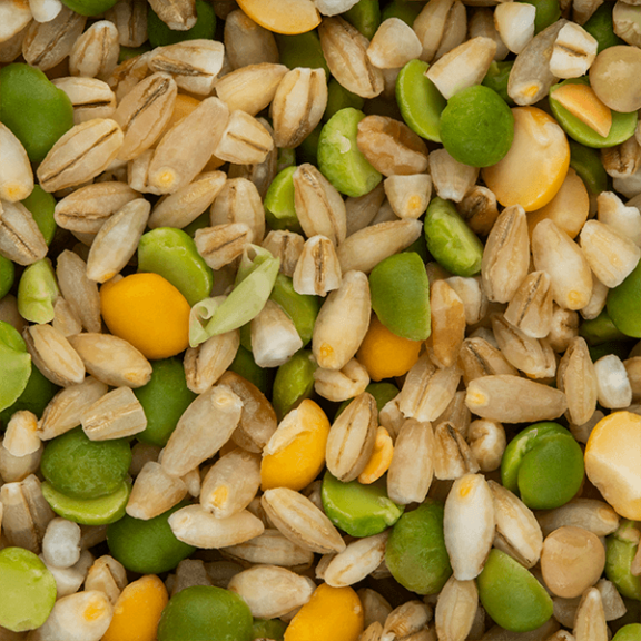Soup Mix