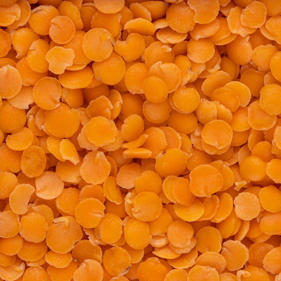 Red Lentils