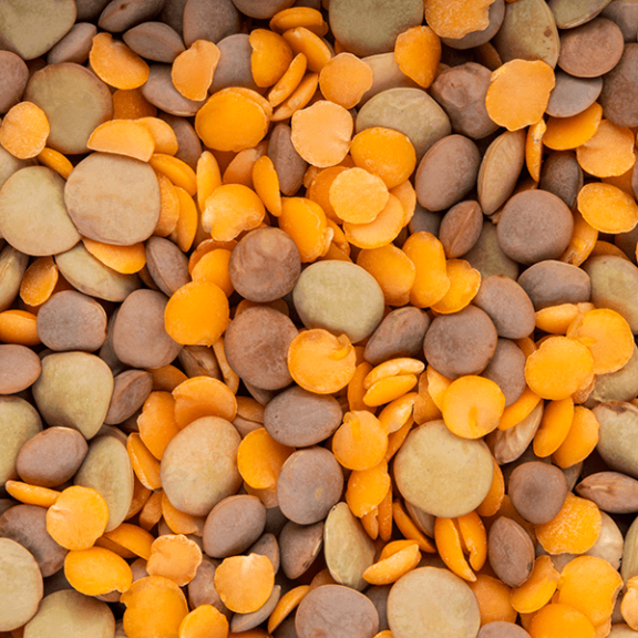 Mixed Lentils