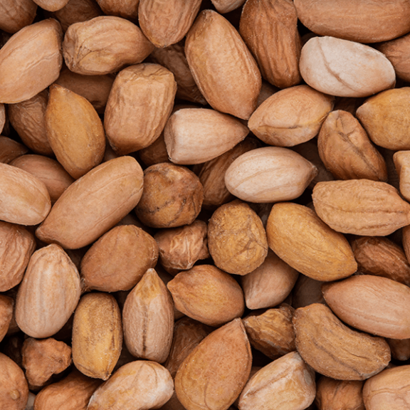 Shelled Raw Peanuts