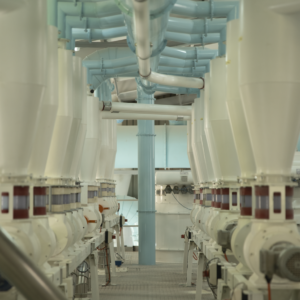 Pride Milling launches new Industrial Yellow Maize Mill