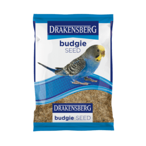 Drakensberg Budgie Seed Drakensberg Budgie Seed