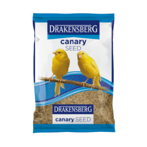 Drakensberg Canary Seed Drakensberg Canary Seed