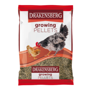 Drakensberg Growing Pellets Drakensberg Growing Pellets