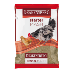 Drakensberg Starter Mash Drakensberg Starter Mash