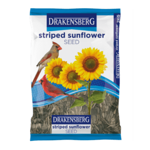 Drakensberg Striped Sunflower Seed Drakensberg Striped Sunflower Seed