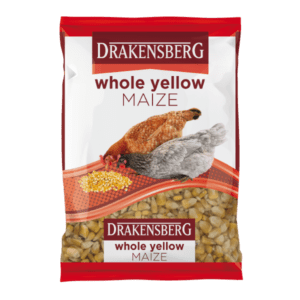 Drakensberg Whole Yellow Maize Drakensberg Whole Yellow Maize