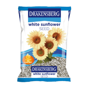 Drakensberg White Sunflower Seed Drakensberg White Sunflower Seed